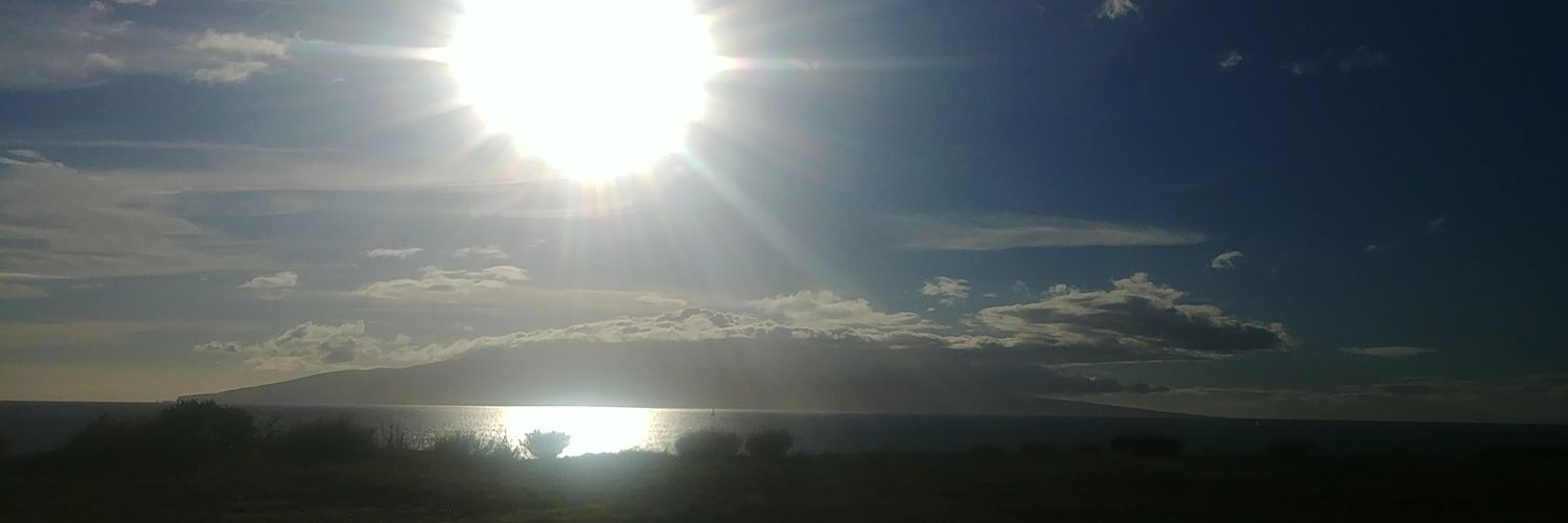 WLitza's profile banner image