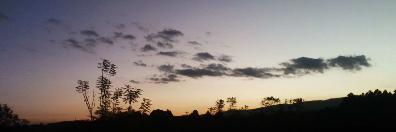 kev_gitonga's profile banner image