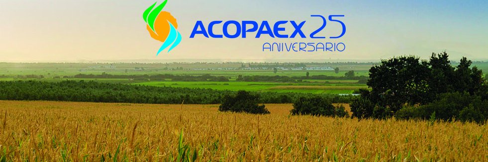 Acopaex banner