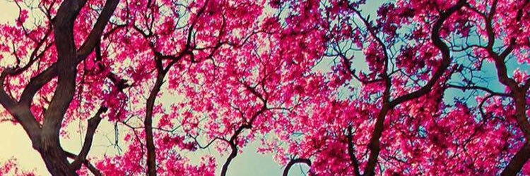 INEVOLUTION1's profile banner image