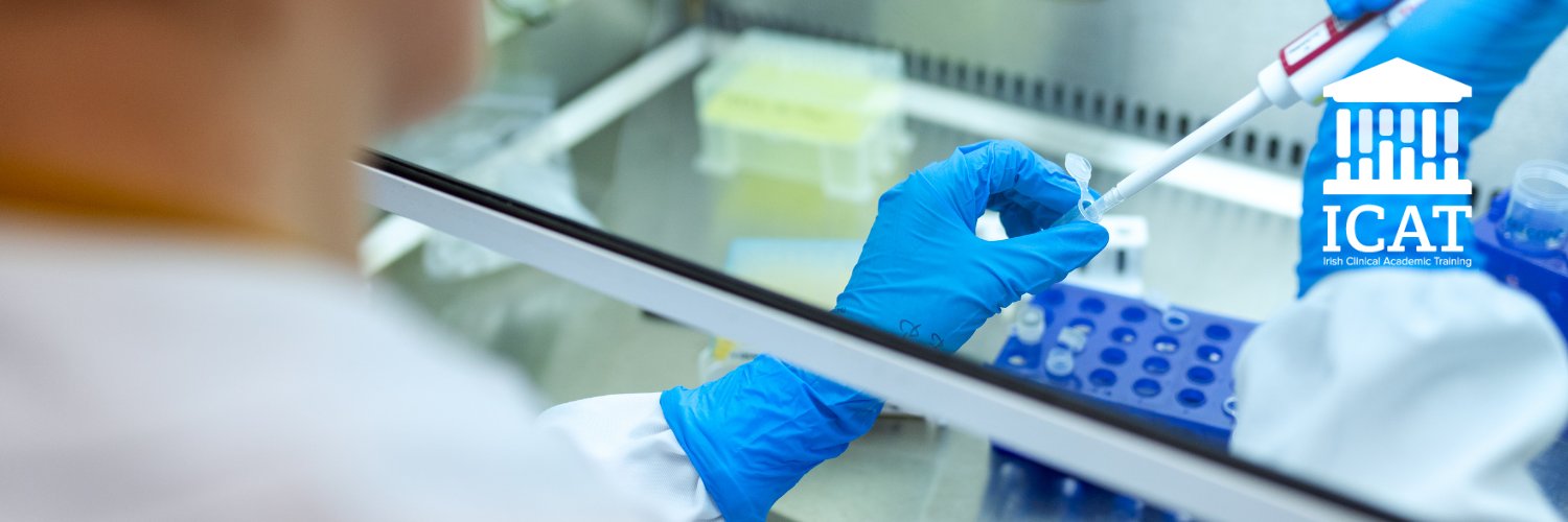 ICAT Programme banner