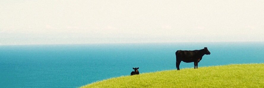 imark2gift's profile banner image
