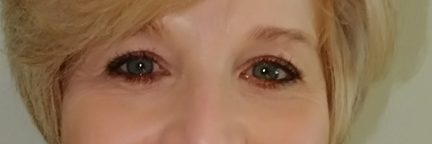 DianeZook's profile banner image
