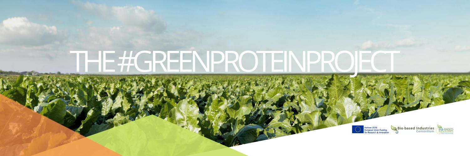 GreenProteinProject banner