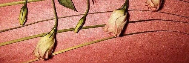 fiamadevitte's profile banner image