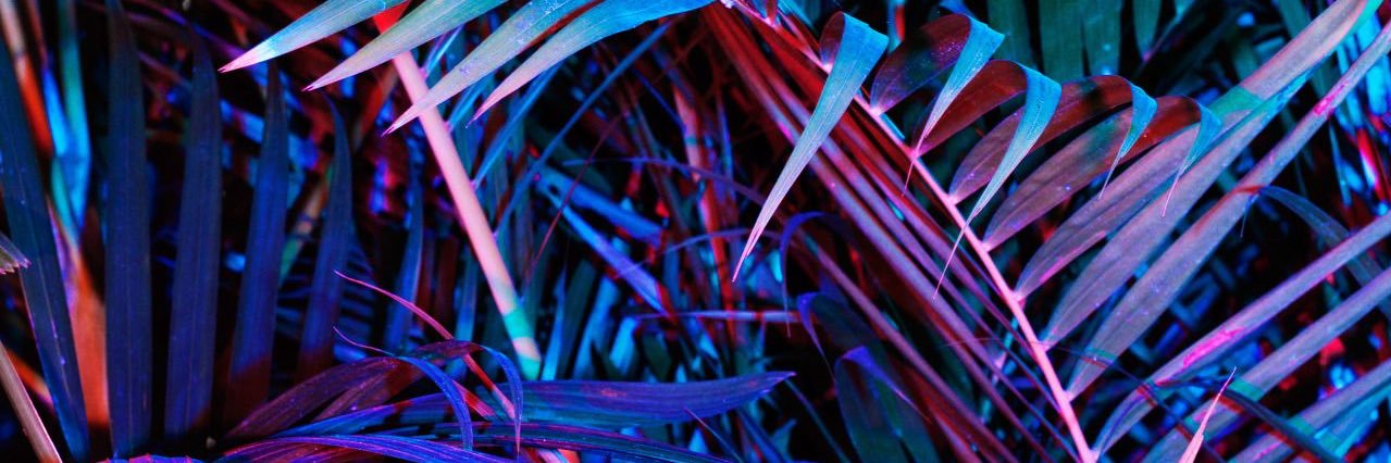 alexiandra500's profile banner image