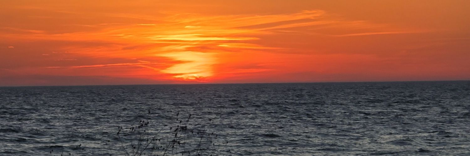 rcarney6331's profile banner image
