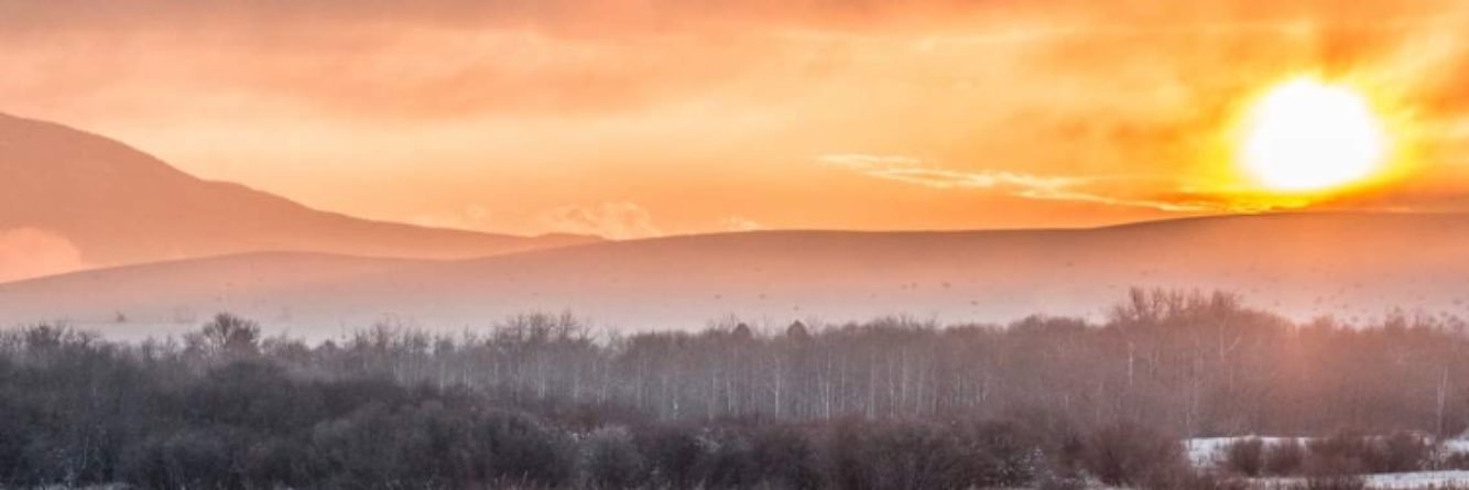 rcroy2's profile banner image