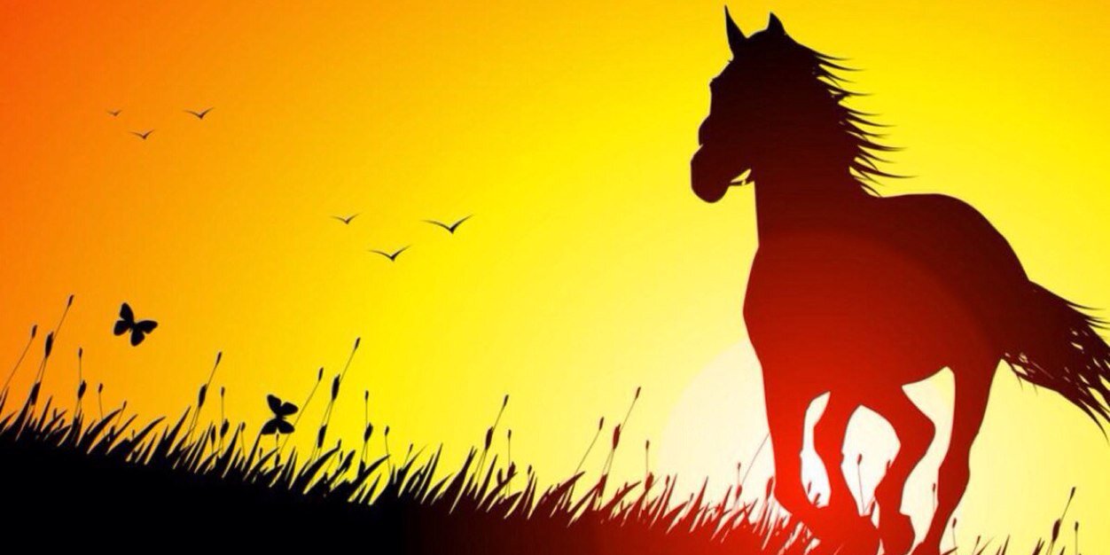 AmberMae54's profile banner image