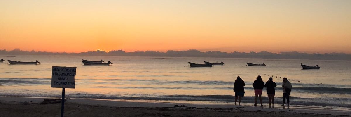 AriannaHatz's profile banner image