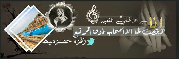 en990a Profile Banner