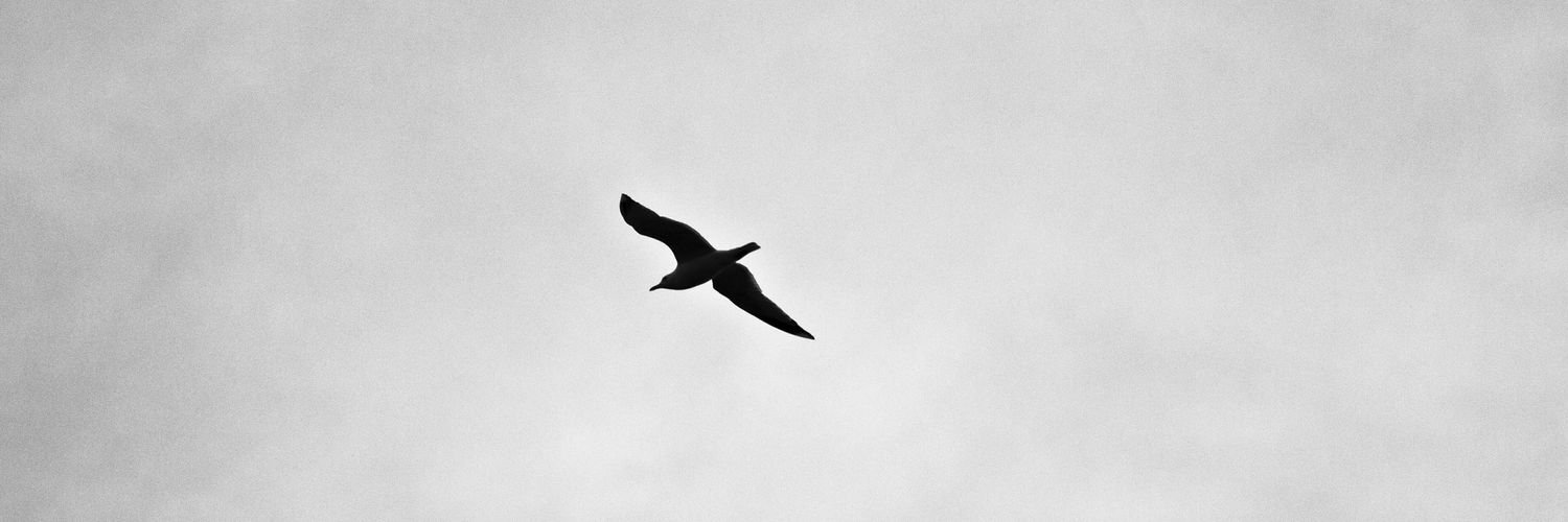 Melanie Manning banner