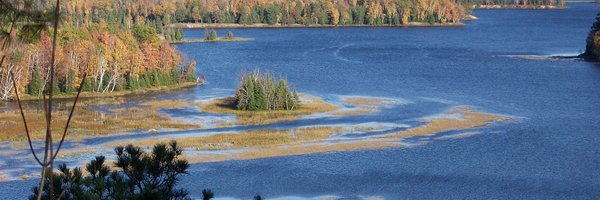 glock22_ Profile Banner