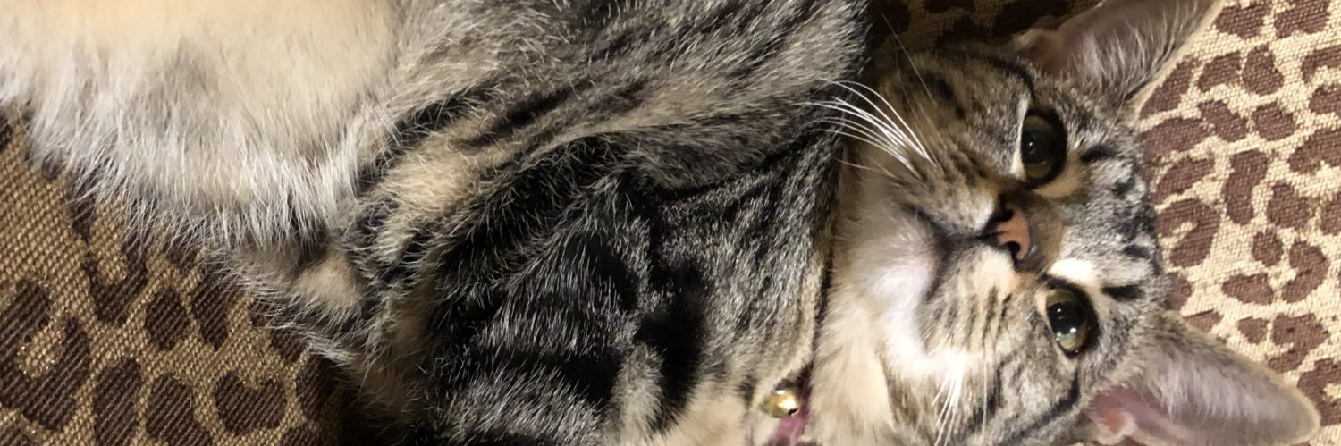 OJapenga's profile banner image