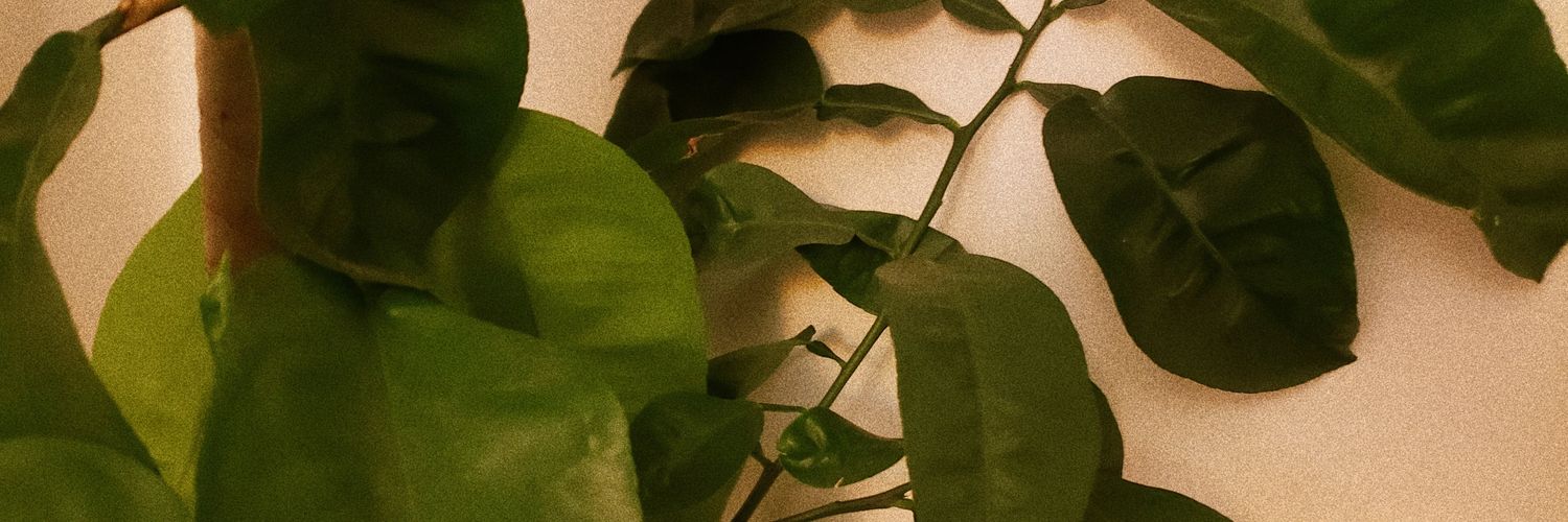 ♡isa♡ banner