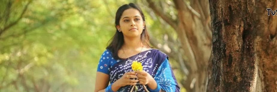 Teamsridivya's profile banner image