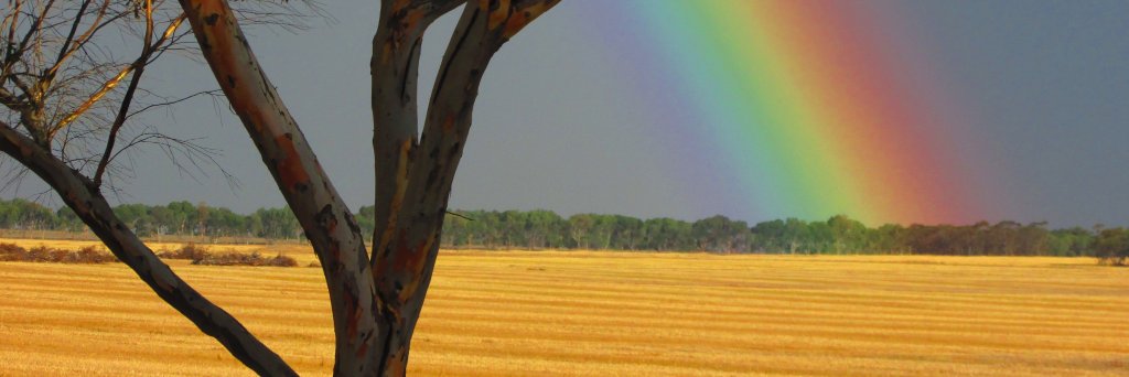 Dr. Emily Duncan banner