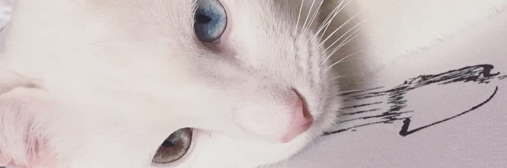 LDanielaU's profile banner image