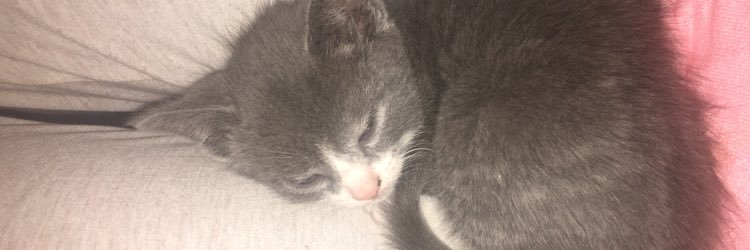 citybxtch's profile banner image
