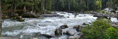 Manisha Dassi banner