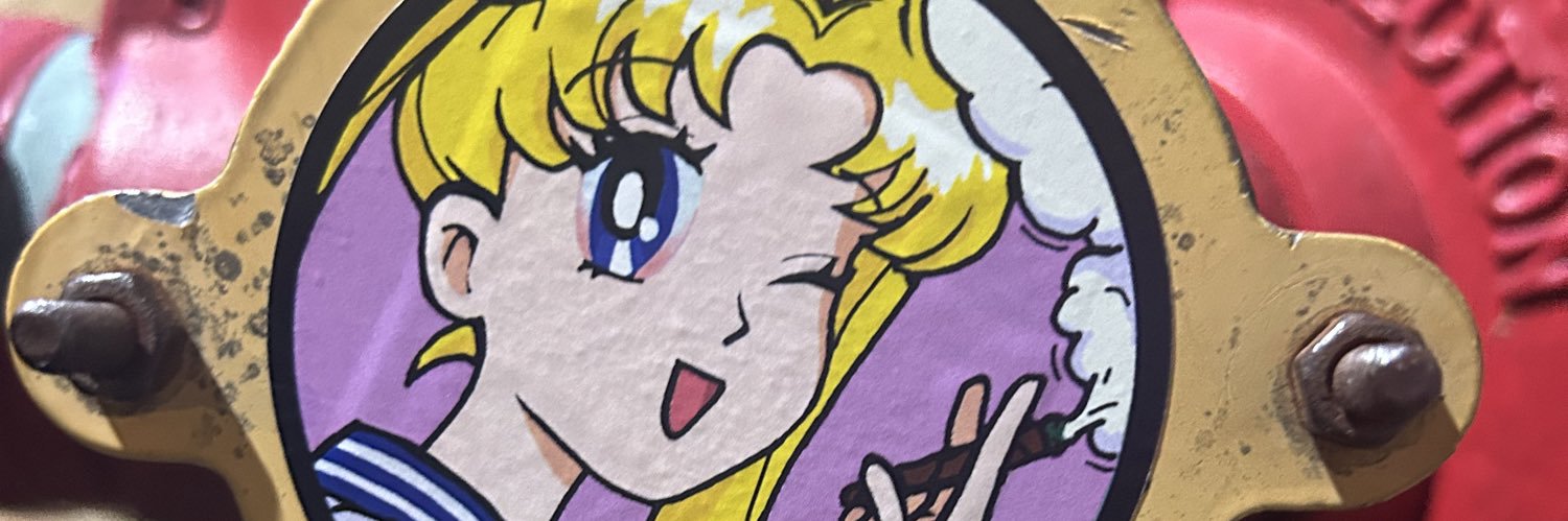 saraviaaIsa's profile banner image