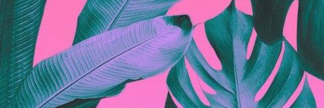 hannah bellenbaum banner