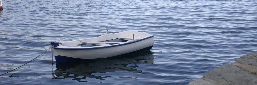 Camilla Velasquez banner