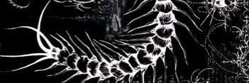 grimcreature's profile banner image