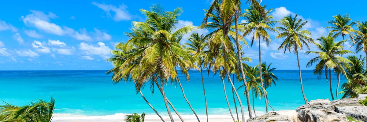 ShowmeCaribbean's profile banner image