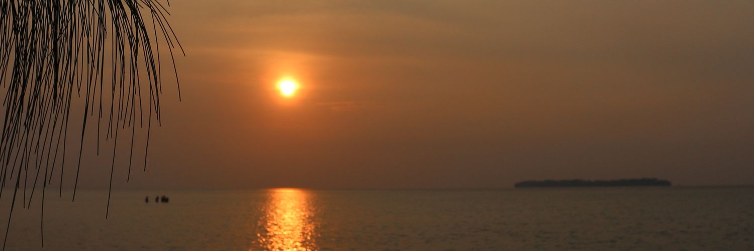 meigaputri's profile banner image