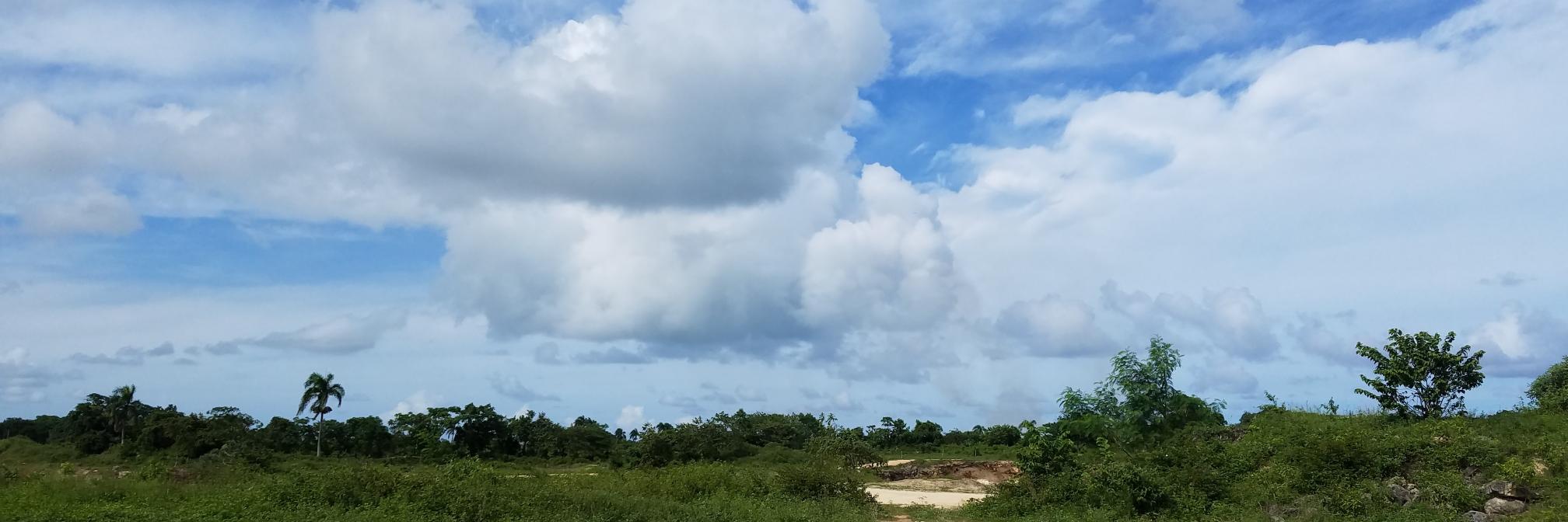 cramerr1's profile banner image