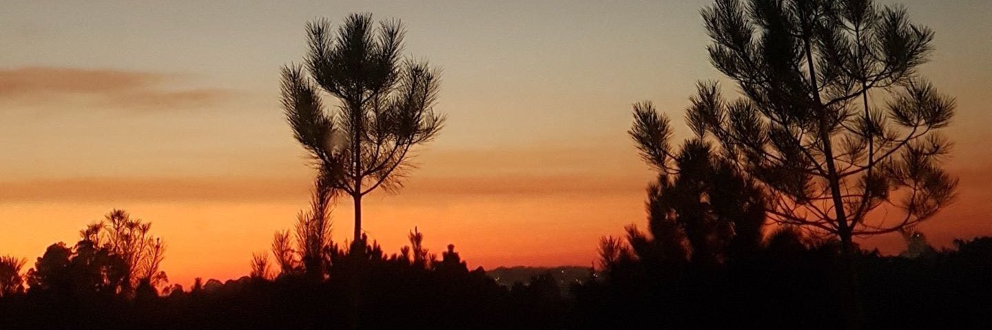 catsoares13's profile banner image