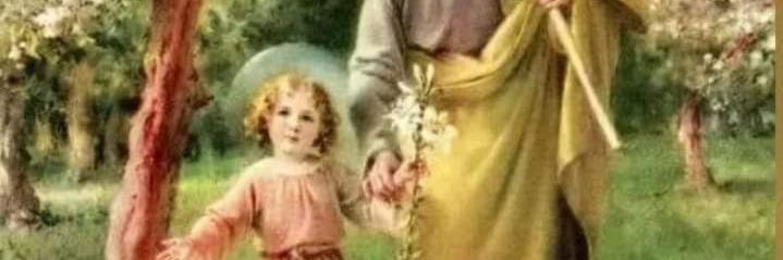 Josephine Haddad banner