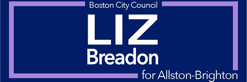 Liz4AB banner