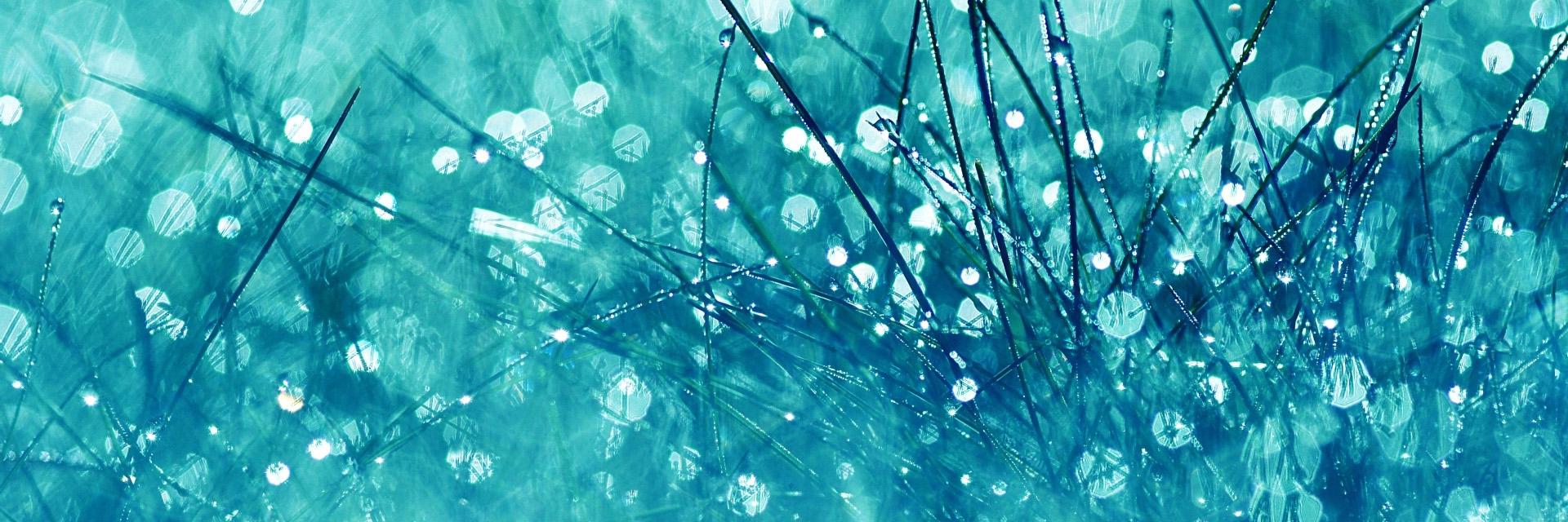 simplymiao's profile banner image