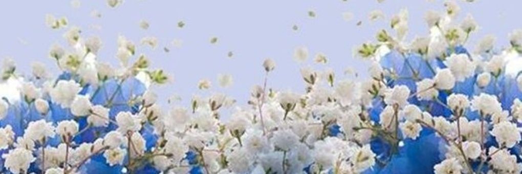 CALa_4's profile banner image