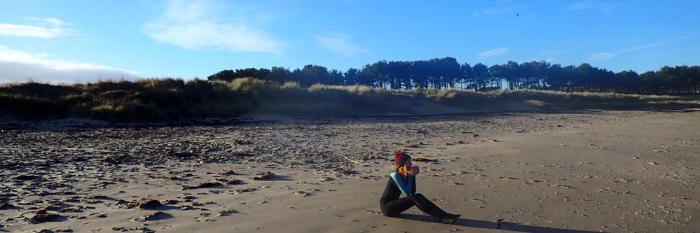 Connie SimonNutbrown banner