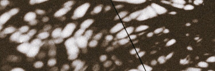 shutterday's profile banner image