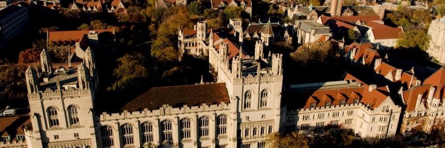 UChicago BSD Office of Diversity & Inclusion's banner