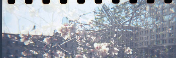 kojinanjo's profile banner image