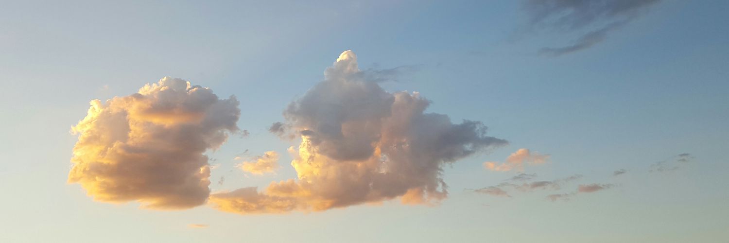 buzzzbrian's profile banner image