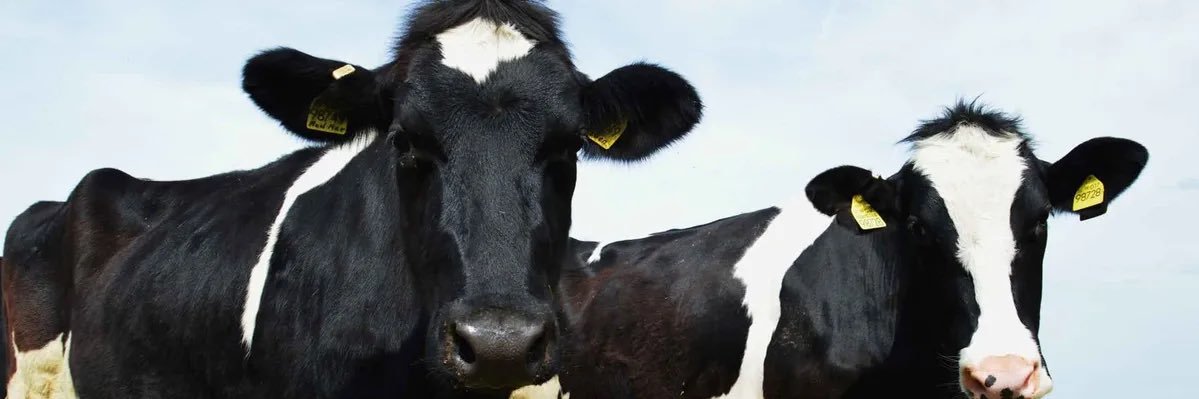 Raw Milk Populist banner