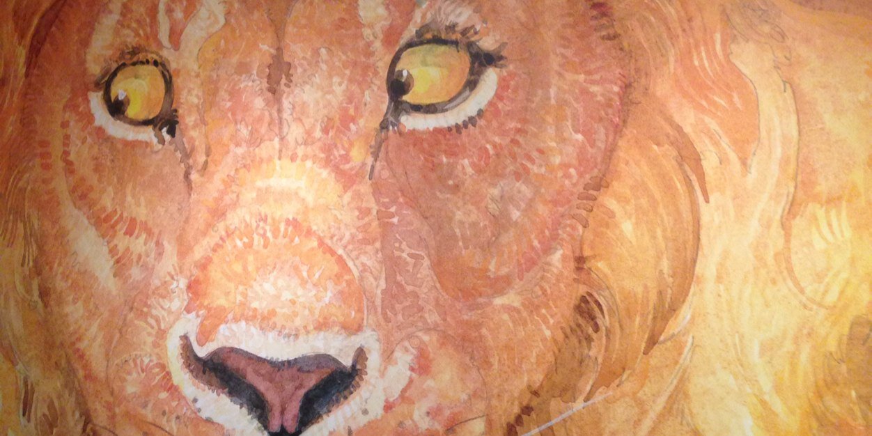 HaleyKJxo's profile banner image