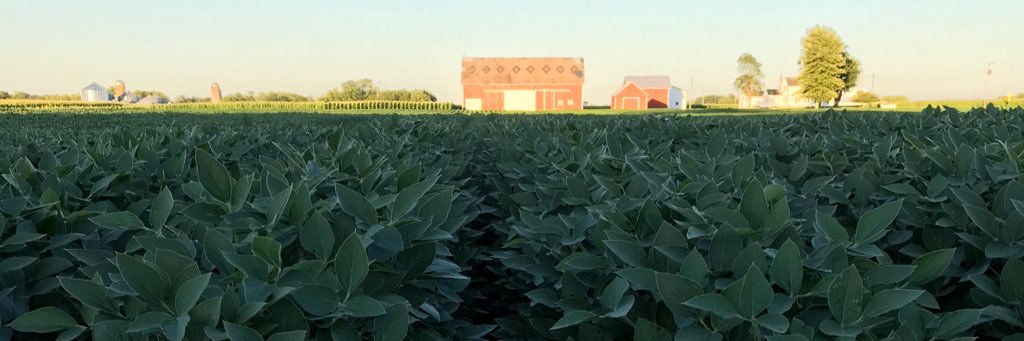 Matt Bambauer 🇺🇸 banner