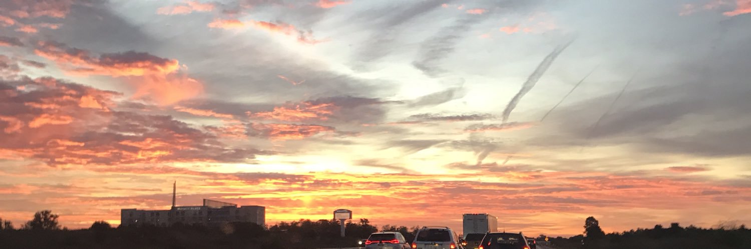 MegFeldman711's profile banner image