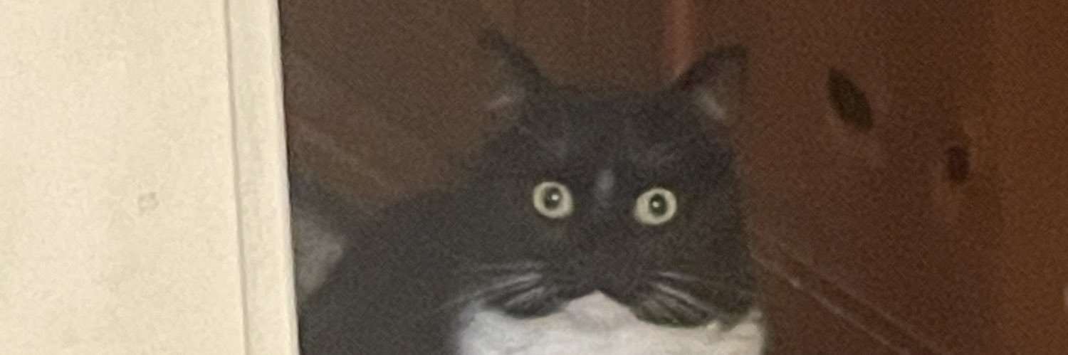 SHrycak's profile banner image