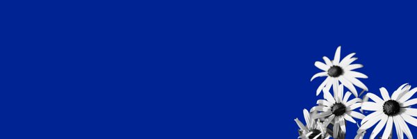 TigrisContent Profile Banner