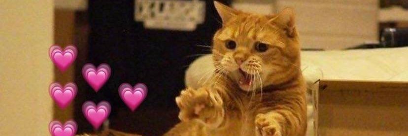 💫❄️💗 × ต๊ะต่อนยอน🌸 × 💗❄️💫 banner