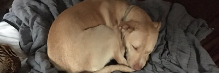 pocketofcoles's profile banner image