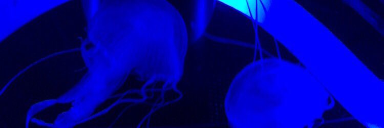 3t4__O's profile banner image